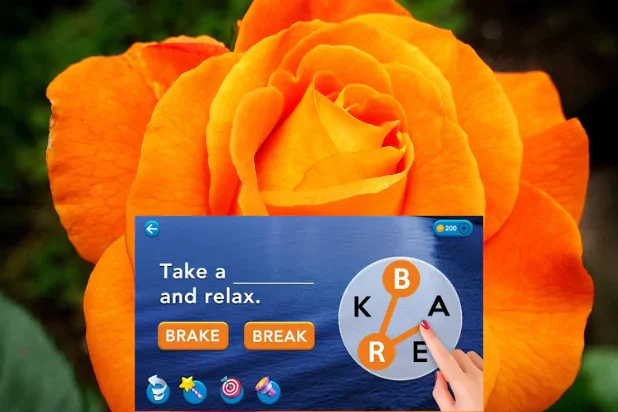 Crossword Daily 3