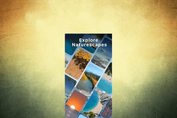 Cryptoscapes 3