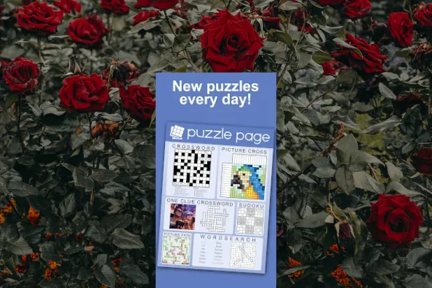 Puzzle Page 3