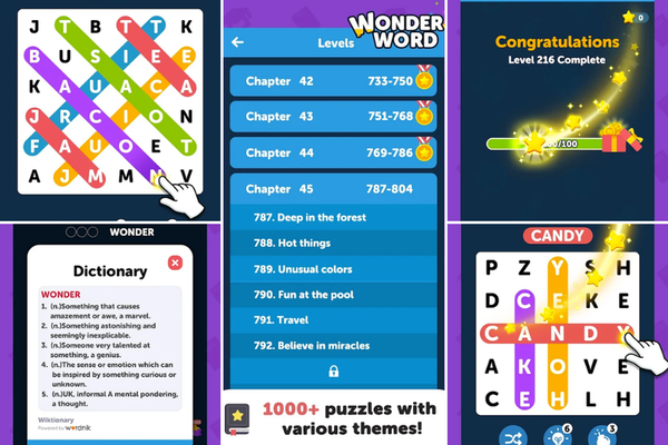 Wonder Word Vid Substitute