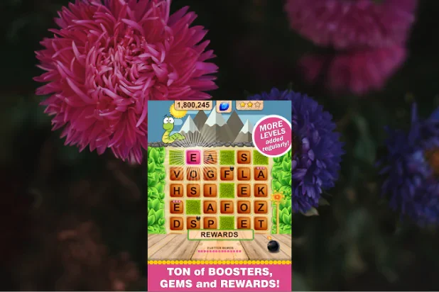 Word Wow Seasons 3