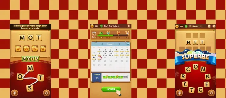 Pro des Mots game screenshot